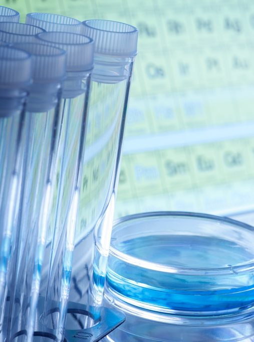 testube dish vertical